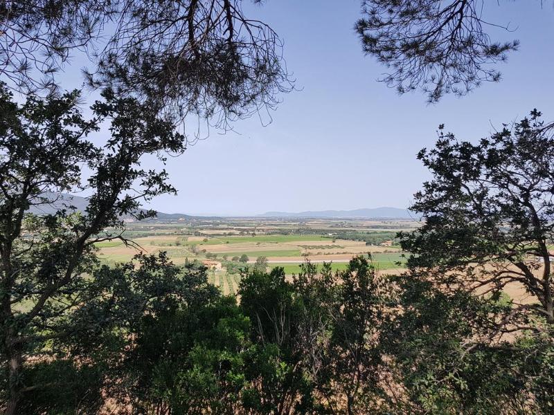 Villa Poggio Alto Agrioturismo Grosseto Exterior foto