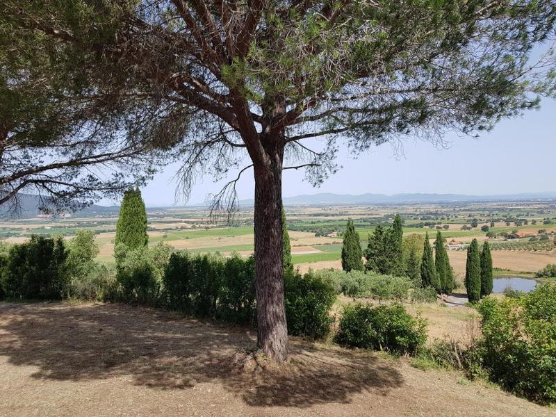 Villa Poggio Alto Agrioturismo Grosseto Exterior foto